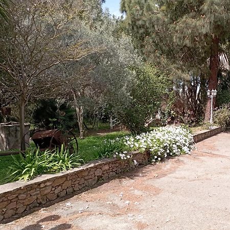 Hotel Garden Nuraminis Exterior foto